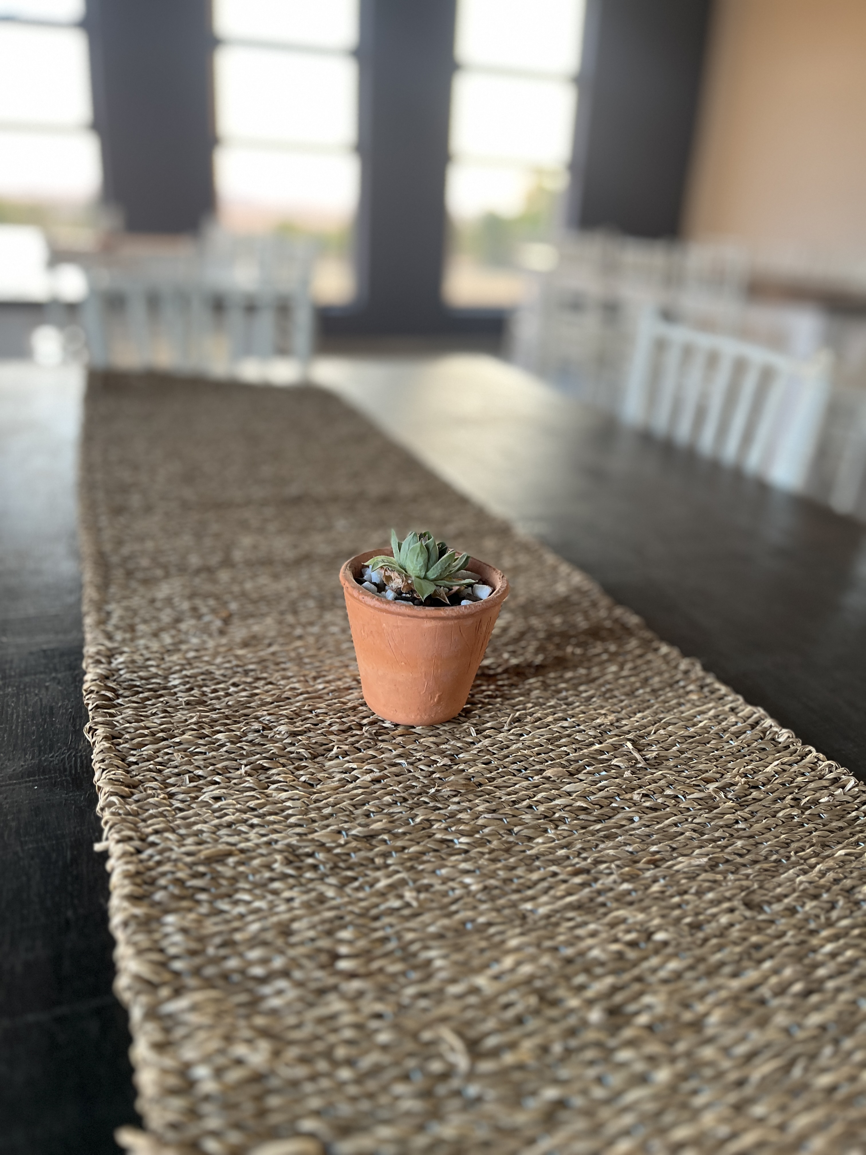 Lang tafel met natuurlike tafelhardloper en klein vetplant